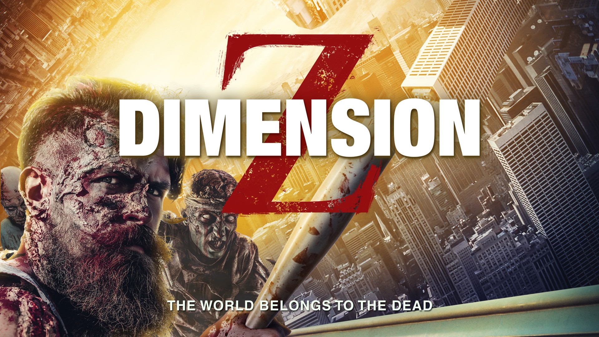 Dimension Z